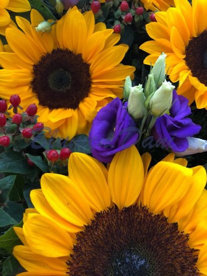 Sonnenblumen Kranz voll – Bild 2