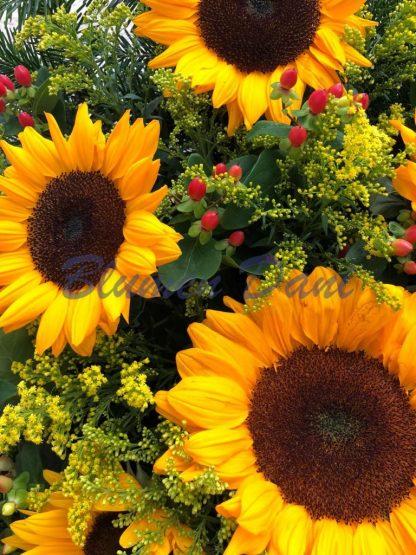 Bukett Sonnenblumen – Bild 2