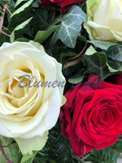 Rosen-Kranz voll – Bild 13
