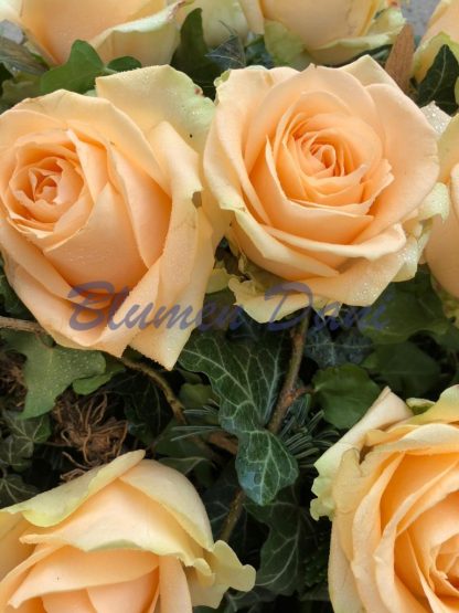 Rosen-Kranz voll – Bild 15