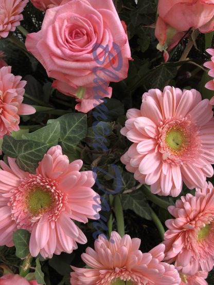 Bukett Gerbera und Rosen – Bild 8