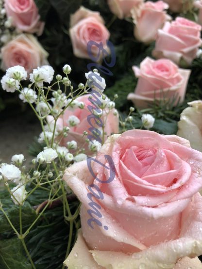 Rosen-Kranz voll – Bild 21