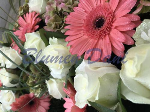 0C620E2C-A77E-4228-A1AD-8543C39D6744