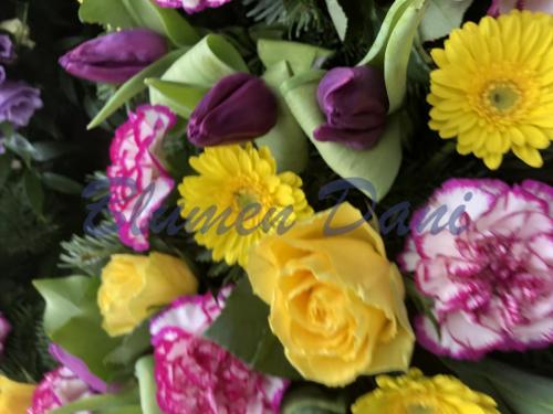 4C4728FC-013A-482D-8104-5C46742AE3E2