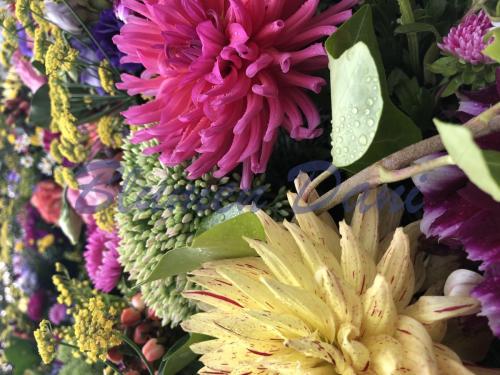 55443D3A-9F0A-4A6F-A771-36B1802EF8EA