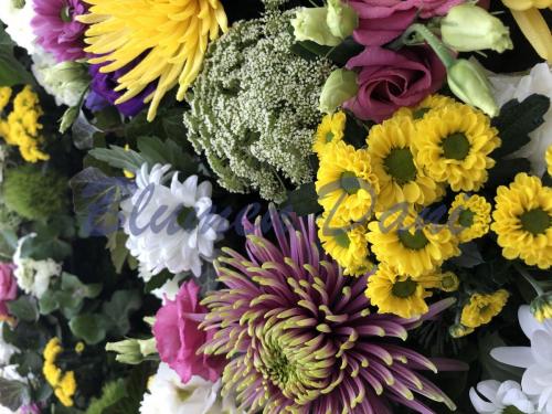 9D54C807-B8CC-4116-BD8E-48EDA5D200C9